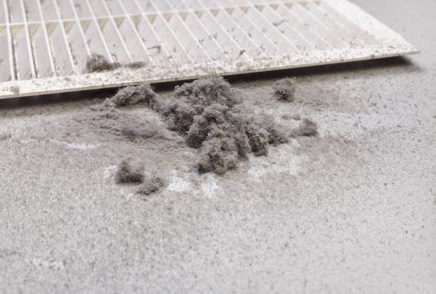 Best HVAC Air Duct Cleaning  in Braddock, VA