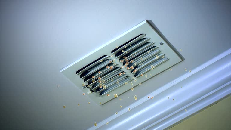 Best Local Air Duct Cleaning Services  in Braddock, VA