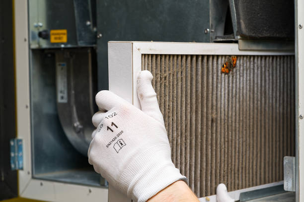 Best Duct Cleaning for Homes  in Braddock, VA