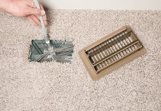 Best Air Duct Mold Removal  in Braddock, VA
