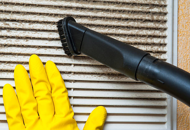 Air Duct Mold Removal in VA